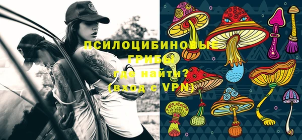 эйфоретик Балахна