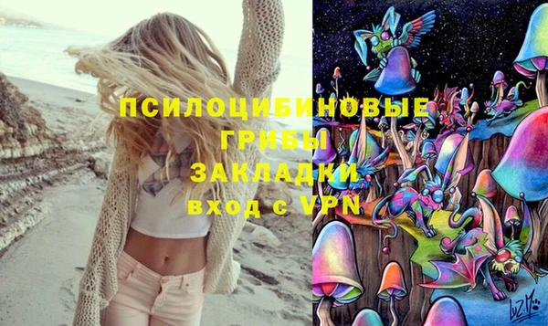 эйфоретик Балахна
