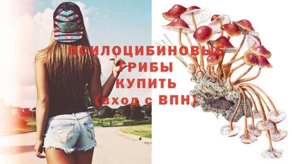 эйфоретик Надым