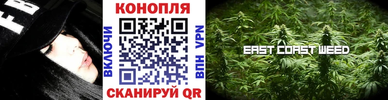 Конопля гибрид  что такое   Чусовой 